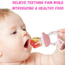 Baby Teether & Fruit Feeder